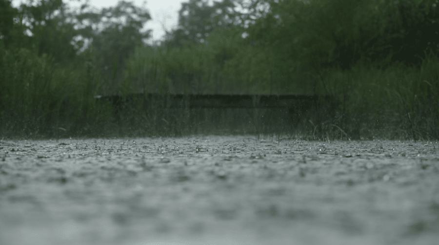 Pluie qui tombe