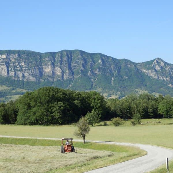 Tracteur dans un paysage rural