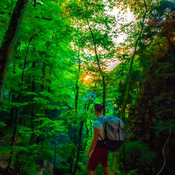 Jeune homme dans la forêt de Saoû