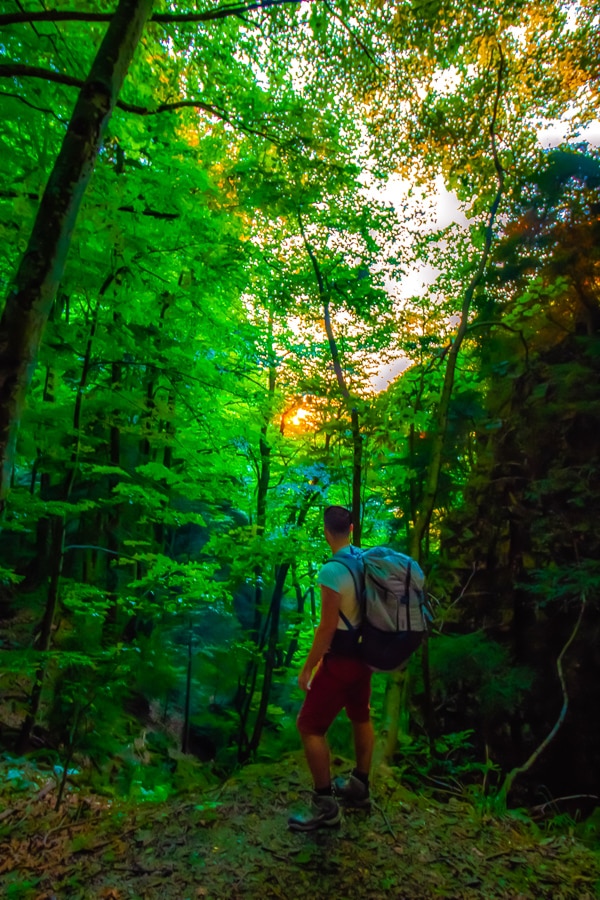 Randonneur dans la forêt