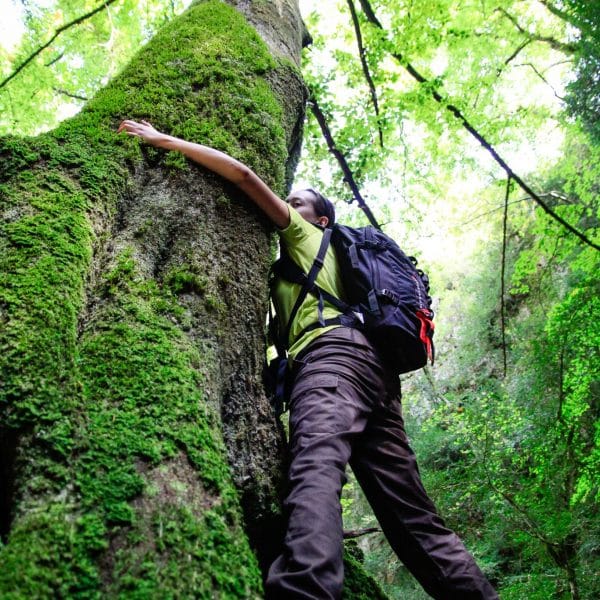 Se reconnecter à la nature avec les arbres