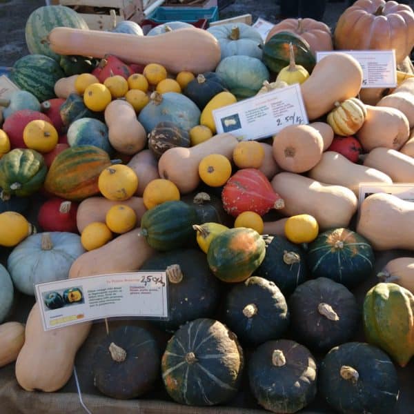 Une foire avec des fruits qu'on a l'hiver.