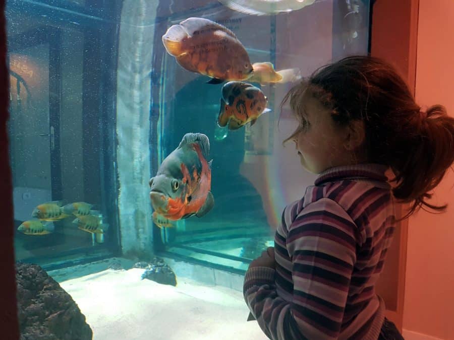 Petit fille qui regarde des poissons à l'aquarium des Tropiques à Allex