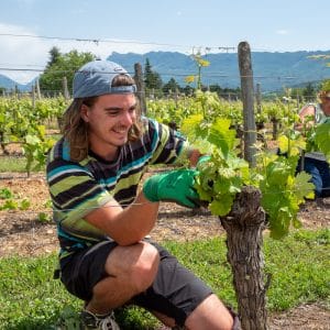 Notre terroir