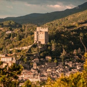 Nos pépites