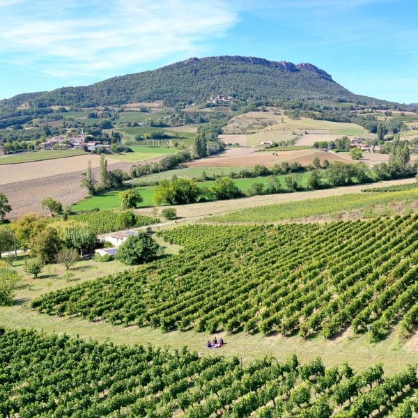 Vue aérienne sur les vignes du domaine Peylong à Suze