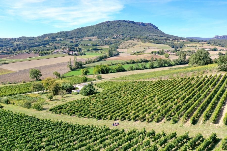 Vue aérienne sur les vignes du domaine Peylong à Suze