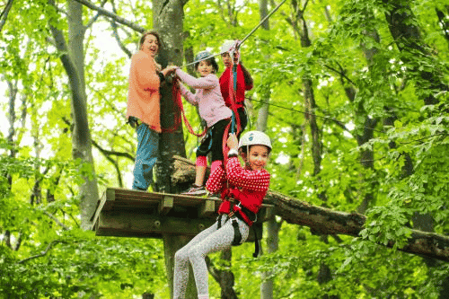 Famille pratiquant de l'accrobranche