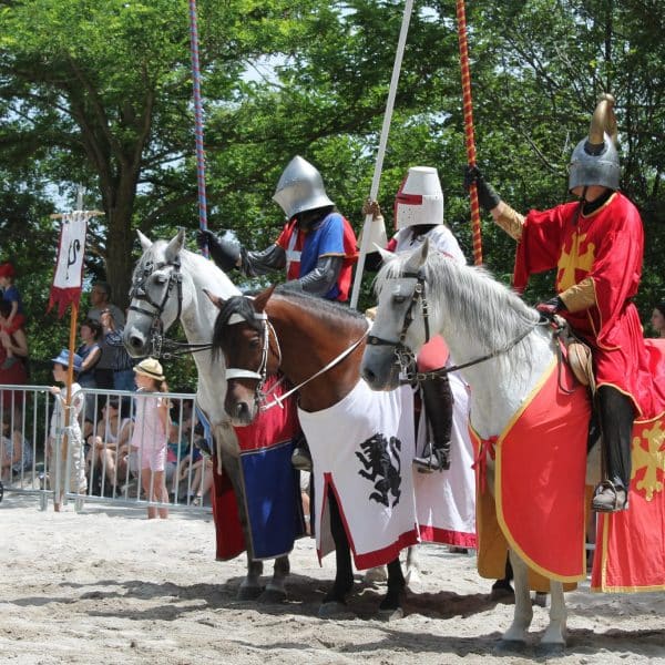 Chevaux et cavaliers à la fête médiévale de Crest