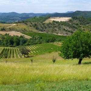 Sur les chemins de la Clairette