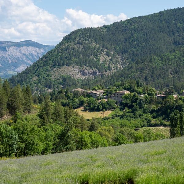 Nature Vallée de la Drôme