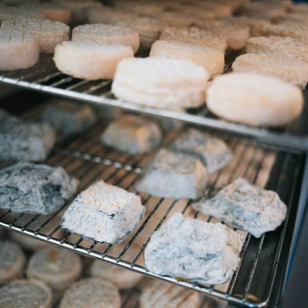 Fromages de chèvre picodon dans la Drôme