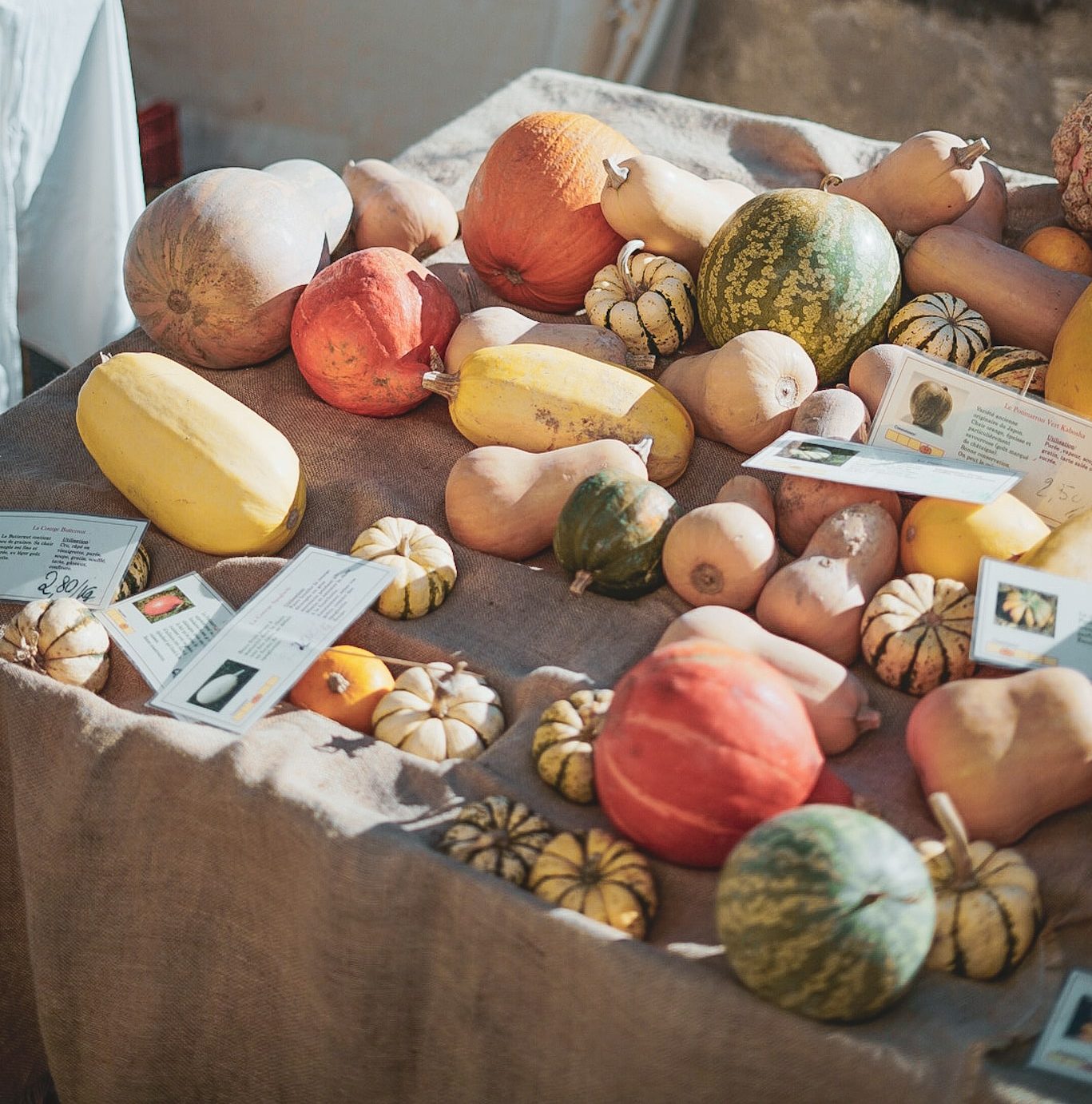 Courges