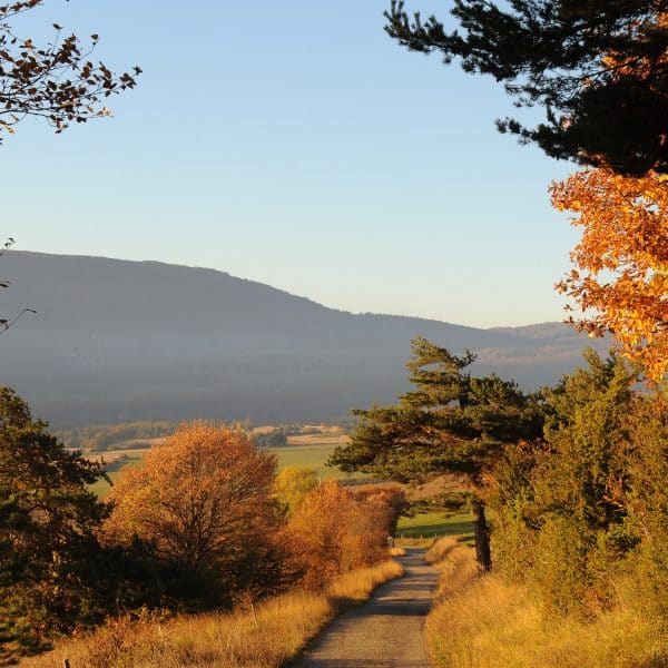 Automne dans la Vallée de la Drôme