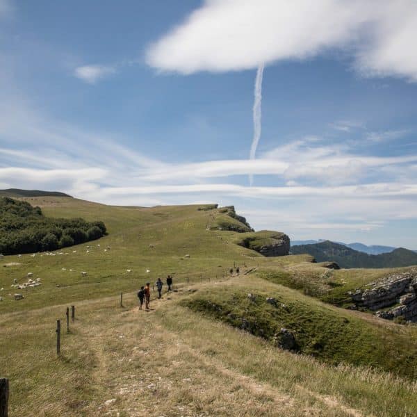 Pastoralisme dans la Drôme