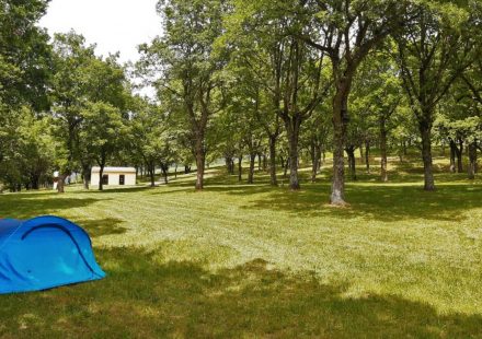Aire Naturelle de Camping Grange Neuve
