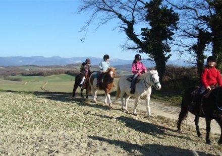 Poneys Natur’