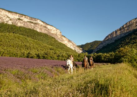 Balades et randonnées à cheval avec Corambé