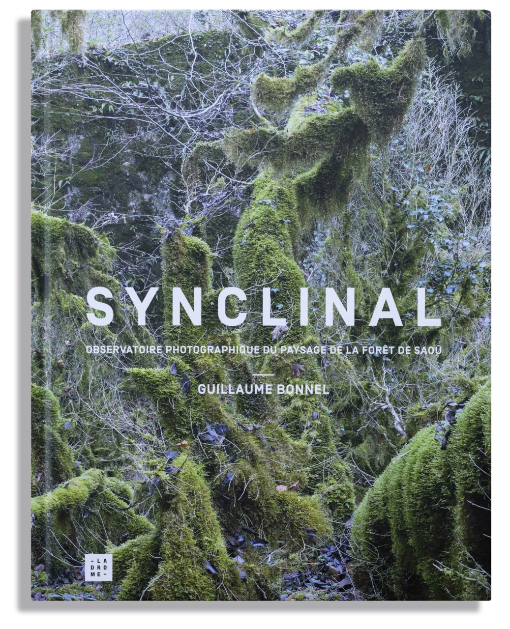 Synclinal (livre)