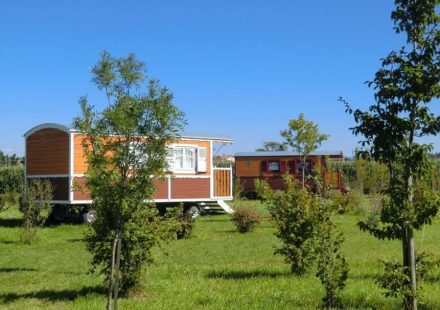 Les Roulottes de la Ferme de l’Autruche Drômoise