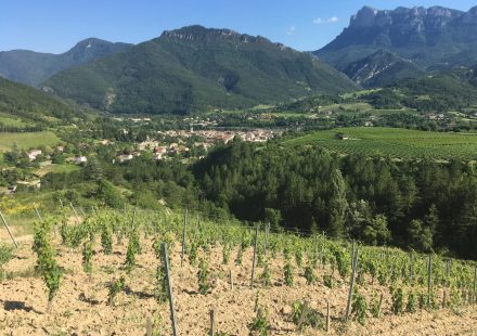 La Drôme de Ferme en Ferme : Domaine Raspail Jean-Claude et fils