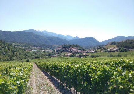 Journée portes ouvertes au Domaine des Muttes