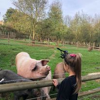 Visite commentée à la ferme