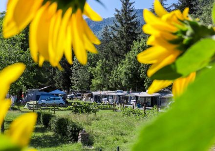 Camping de la Clairette