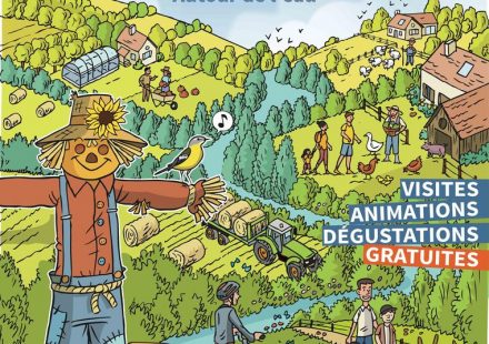De Ferme en Ferme : nouveau Vignoble Amira