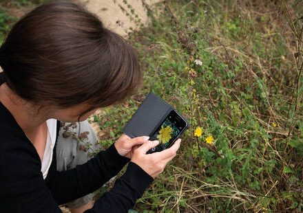 Balade & photographie – initiation à la photo de nature et d’environnement