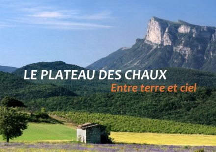 Paysages agricoles et fleurs des champs par Lysandra