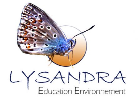 Les plantes du bord de l’eau par Lysandra