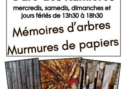 Exposition : « Murmures de papier, souvenirs d’arbre » – Techniques mixtes