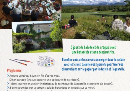Week-end balade nature et carnet de croquis