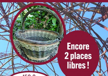 Stage panier rond