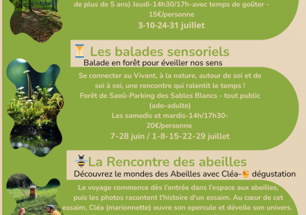 Les RDV en nature avec Cédric, Rencontre avec les Abeilles