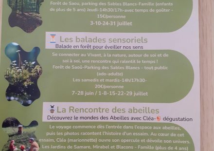 Les RDV en nature avec Cédric, Les balades sensoriels