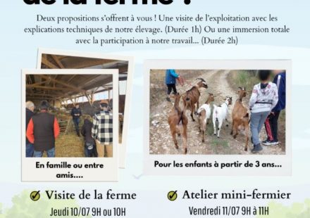 Atelier Mini fermier