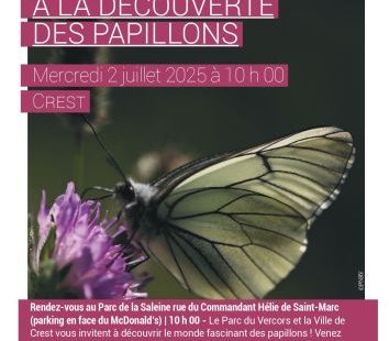 Sortie nature « A la découverte des papillons »