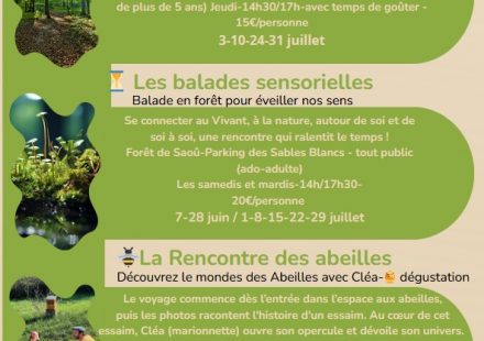 Les RDV en nature avec Cédric – Balade dans la fantastique forêt