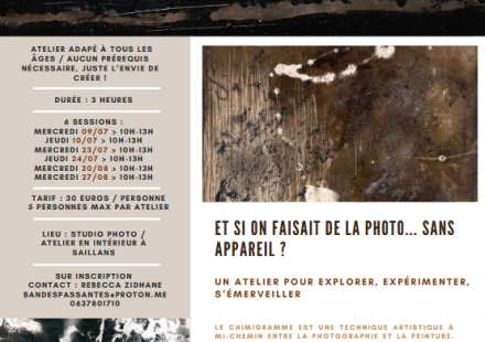 Atelier Chimigramme « Peindre la lumière »