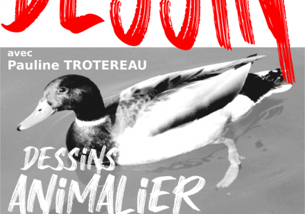Atelier découverte dessin avec Pauline Trotereau