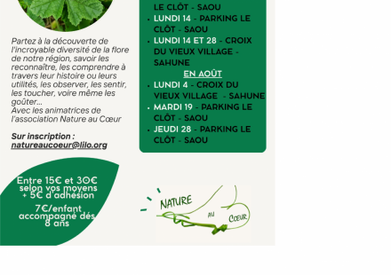 Balade découverte des plantes sauvages