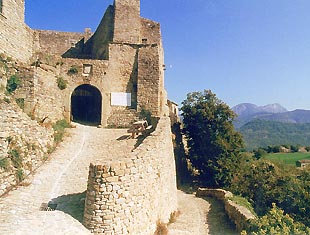 Château de Poët-Célard