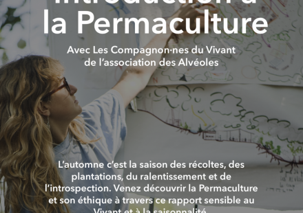 Initiation à la Permaculture aux Alvéoles