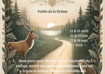 Sur la piste animale