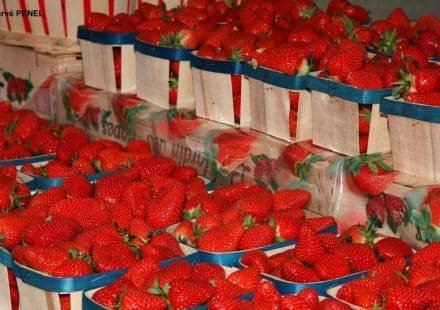 Marché Hebdomadaire