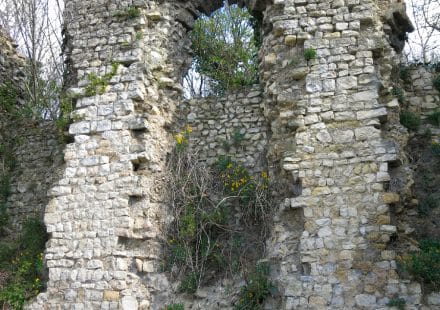 Vestiges de la Collégiale Saint Prix