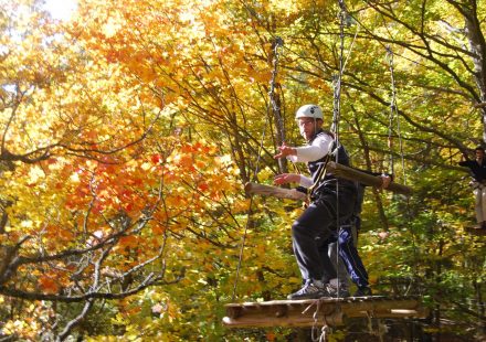 L’accrobranche, tir à l’arc et paintball – Acro Pôle Aventure