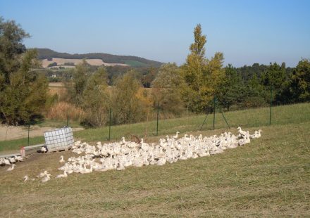 Ferme de la Freydière